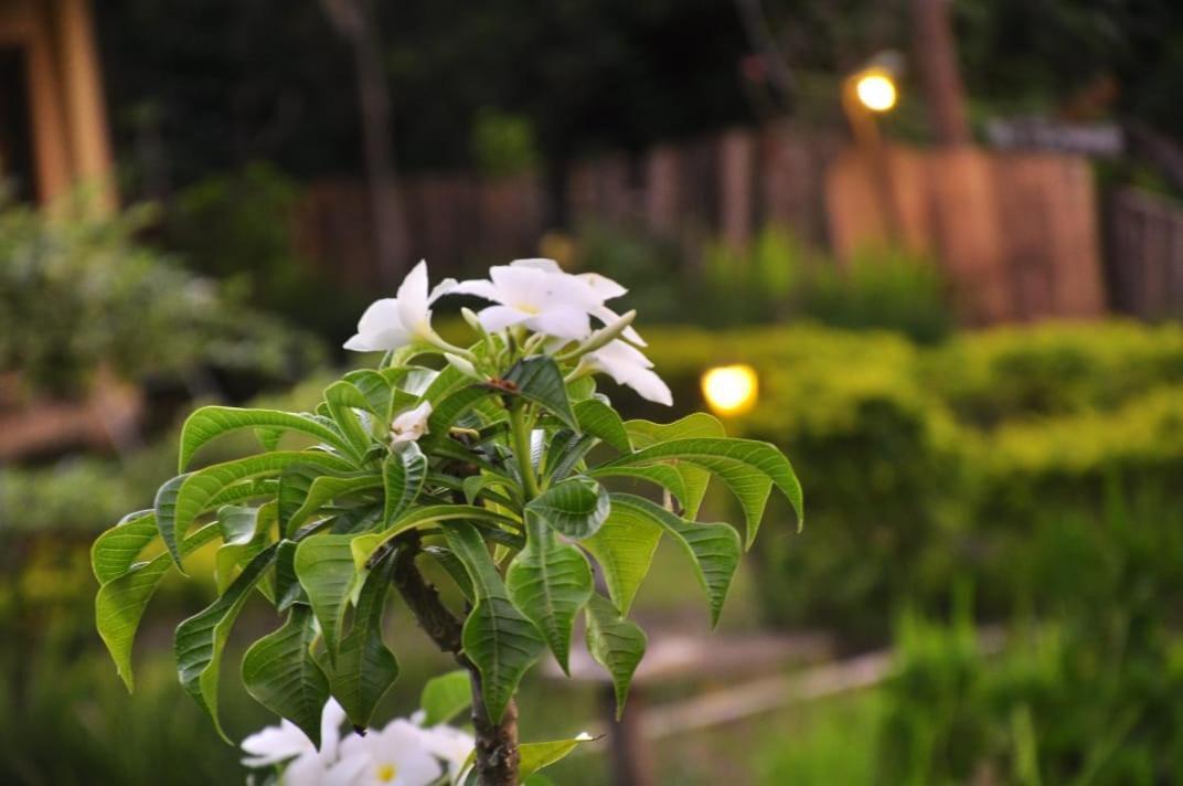 Pondok Guru Bakti Cottage 세나루 외부 사진
